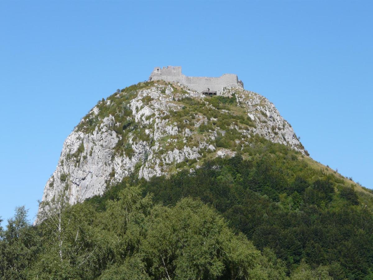 Gites Et Roulottes Au Domaine De La Trille Sainte-Foi Exterior foto
